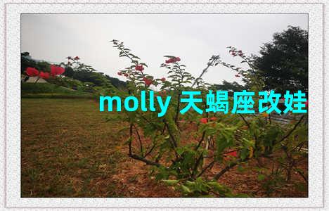 molly 天蝎座改娃